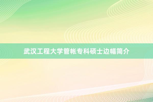 武汉工程大学管帐专科硕士边幅简介